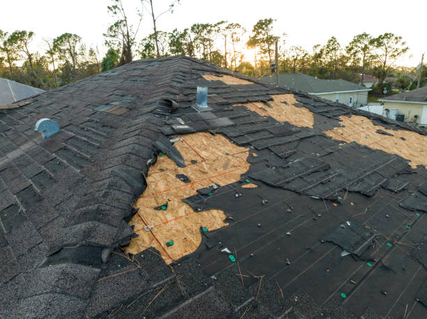 Best Green or Eco-Friendly Roofing Solutions  in Collegedale, TN